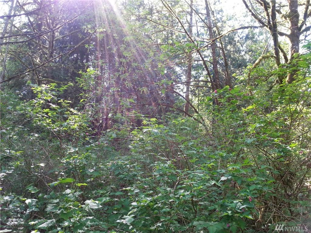 0 Bergan Rd - Photo 1