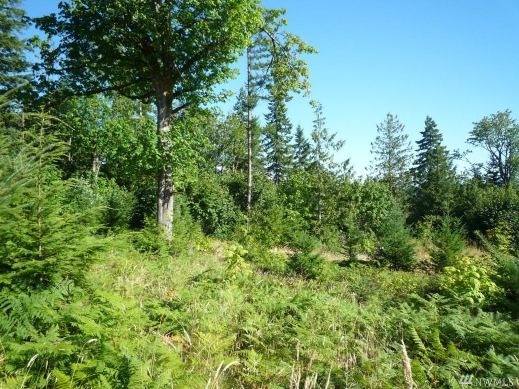 284-XX 112th Way Wy - Photo 1