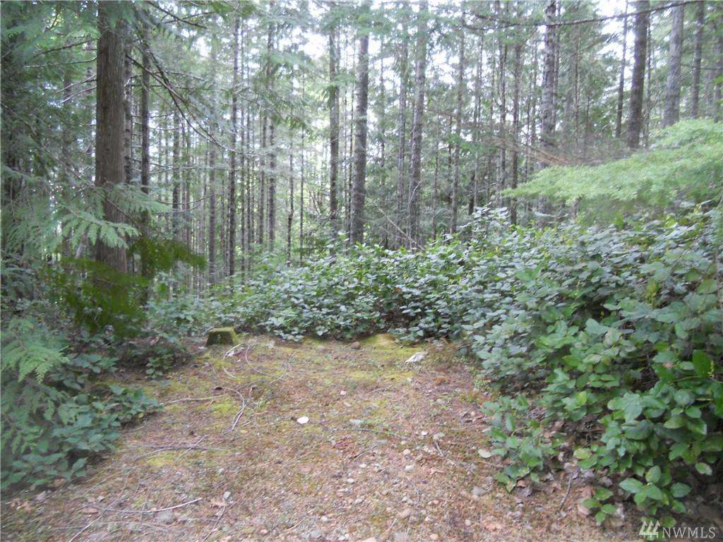 9999 White Tail Trail - Photo 1