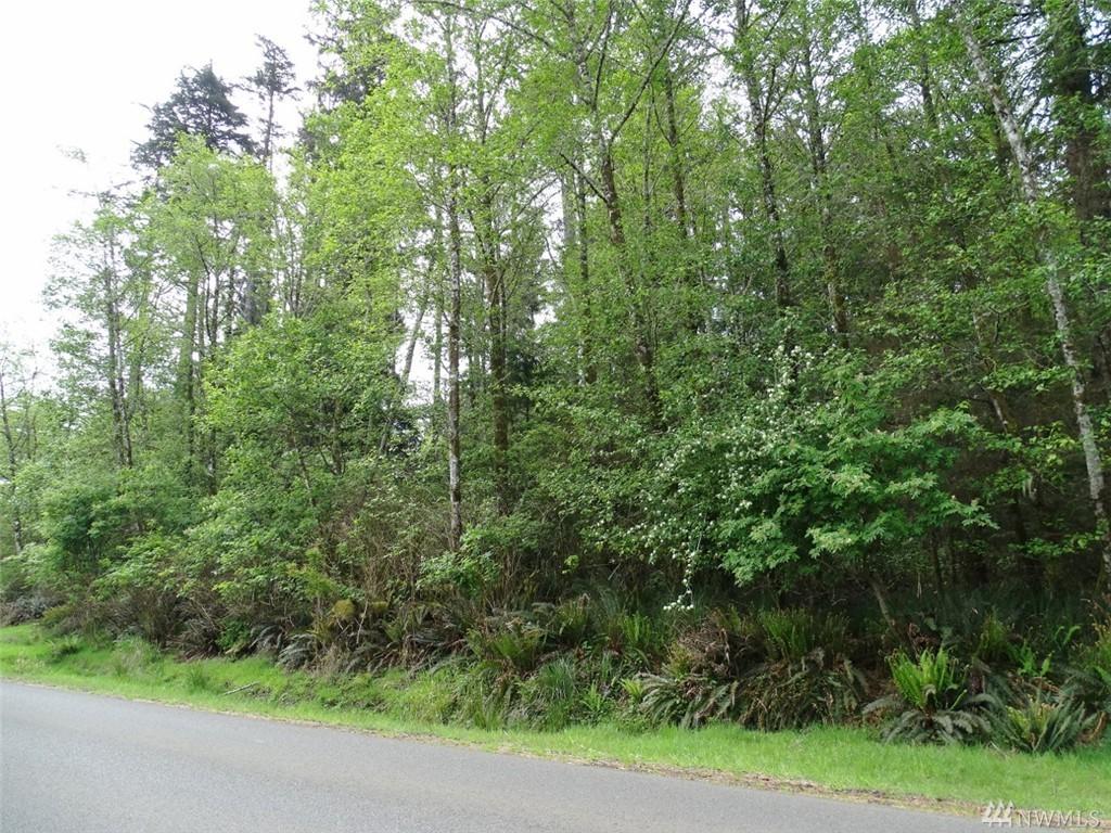 107 Duck Lake Dr - Photo 1