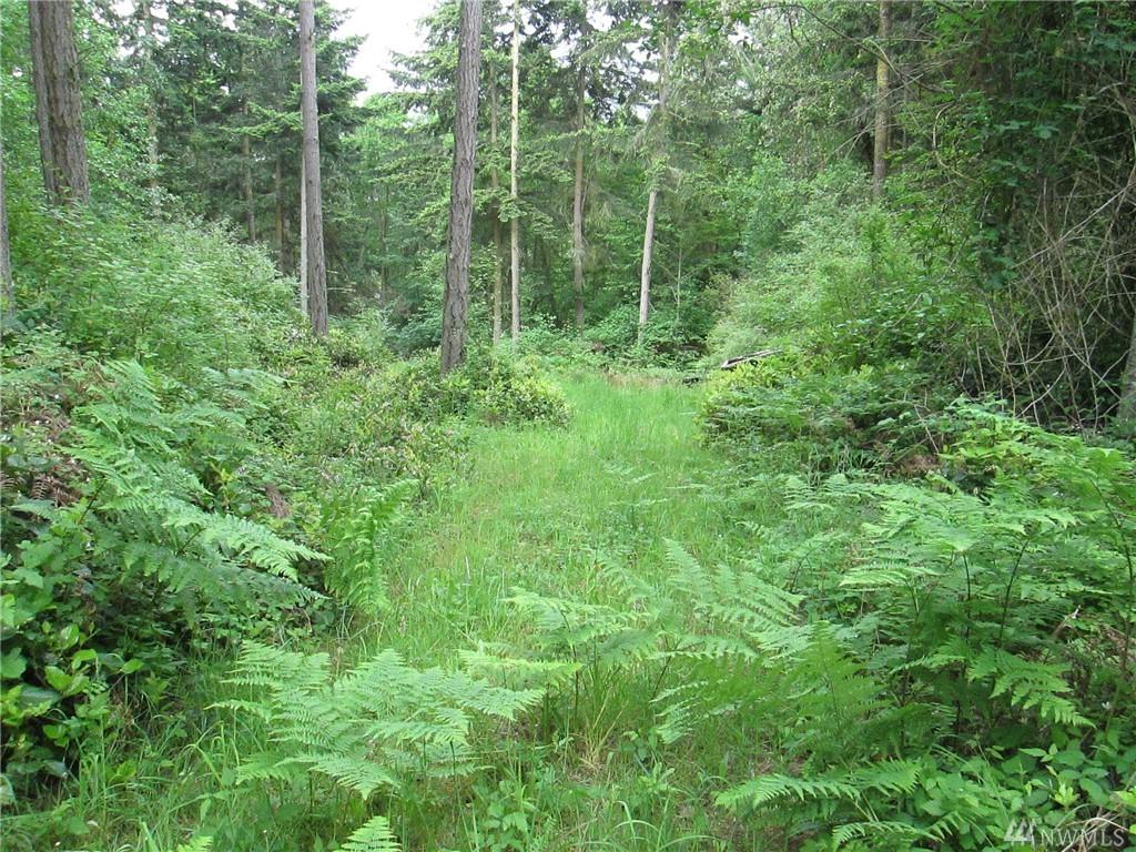 0 Schwartz Rd - Photo 1