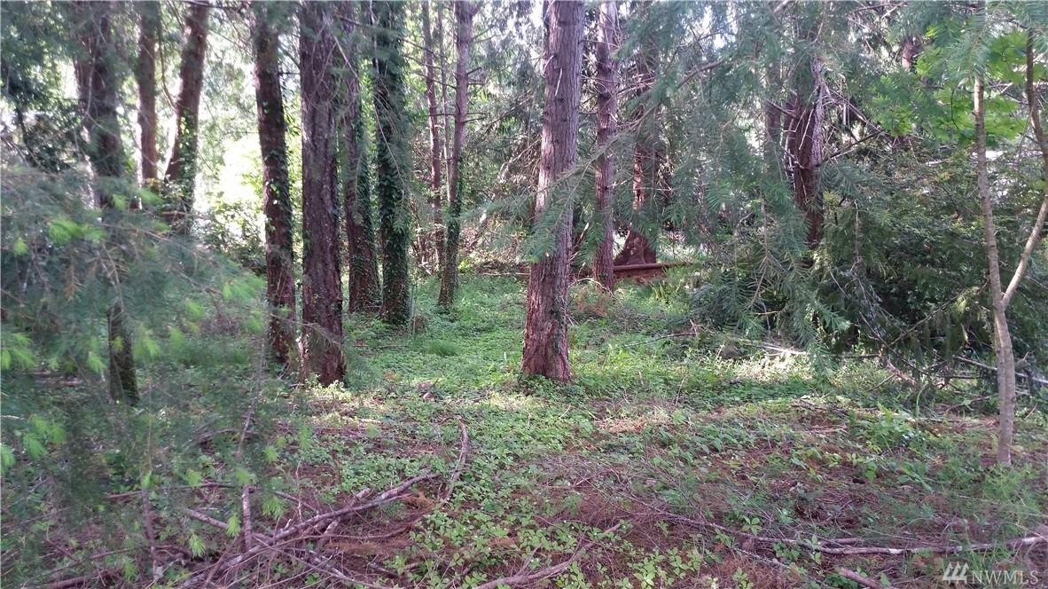 2608 Crestridge Dr - Photo 1