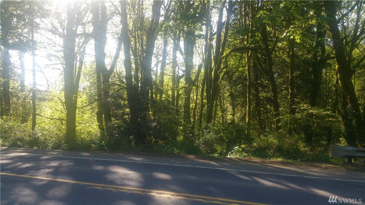 7427 Lewis River Rd - Photo 1