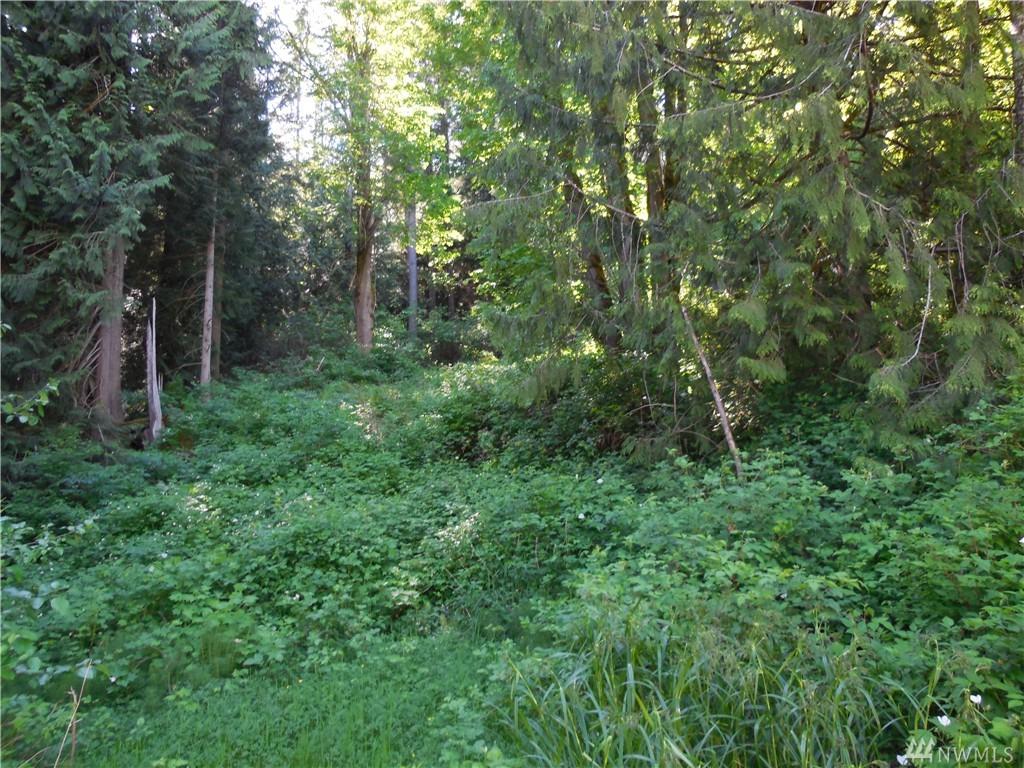 429 Alder Dr - Photo 1