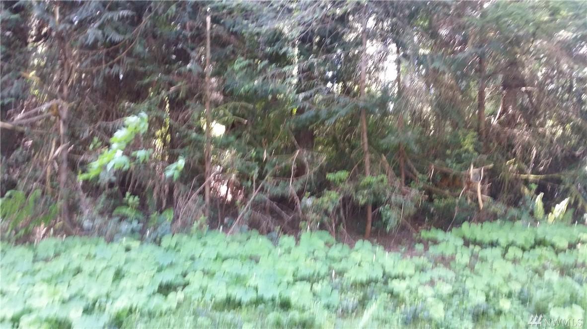 12720 Lovass Rd - Photo 1