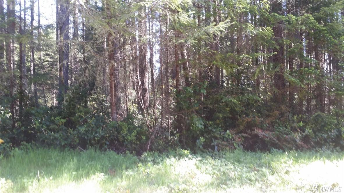 10011 129th Av Ct - Photo 1