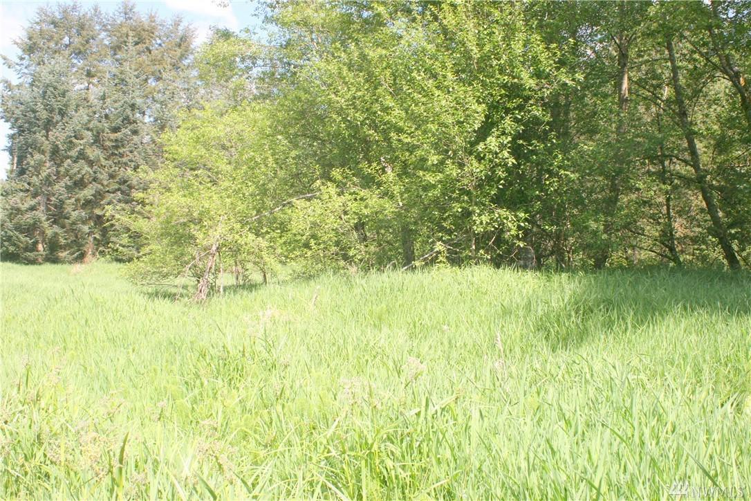 21712 Zenkner Valley Rd - Photo 1