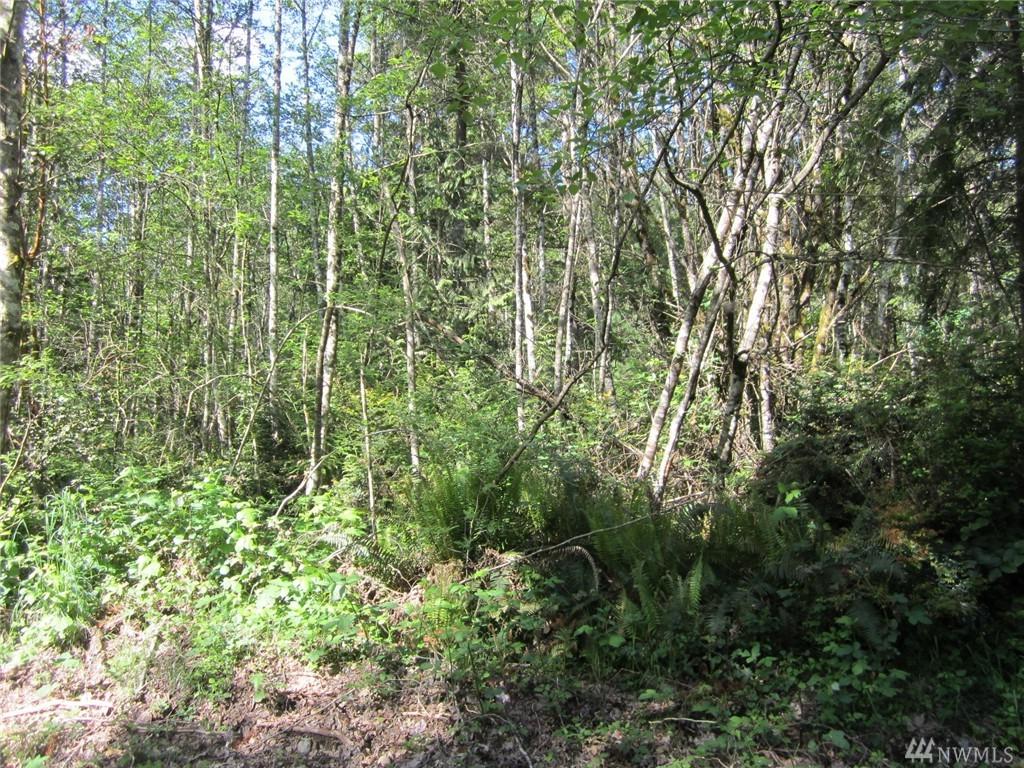 0 Glory Lane - Photo 1