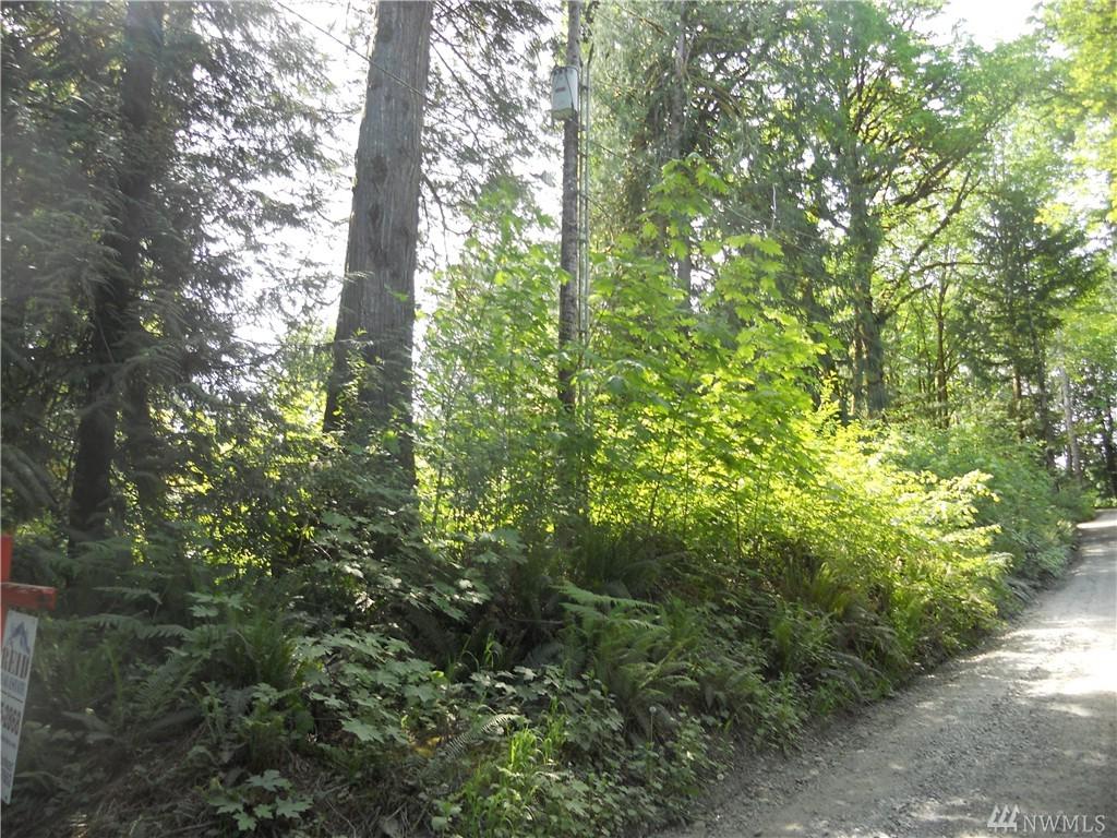 0-lot 50 Rasor Road - Photo 1