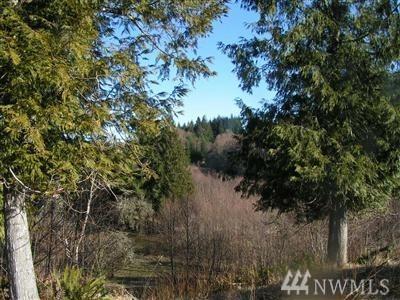 121 Scenic Lane - Photo 1