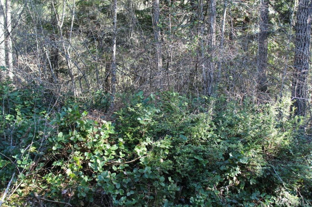 0 Lot B Of Sp 788 Off Hurd Rd - Photo 1