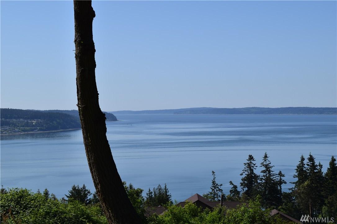 0 Chinook Ridge Lane - Photo 1