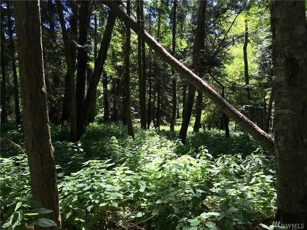 0 Pioneer Hill Rd - Photo 1