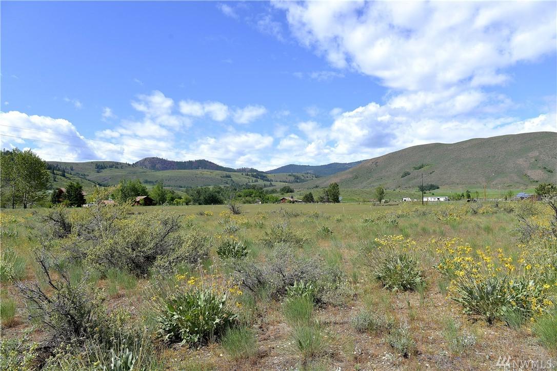 0 Snowberry Lane - Photo 1