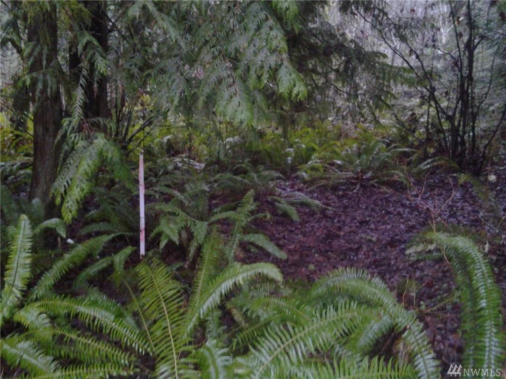 151 Peyton Place - Photo 1