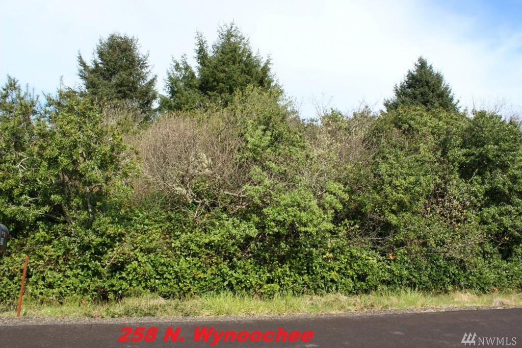 258 Wynoochee Dr - Photo 1