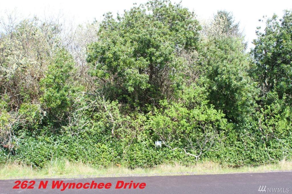 262 Wynoochee Dr - Photo 1