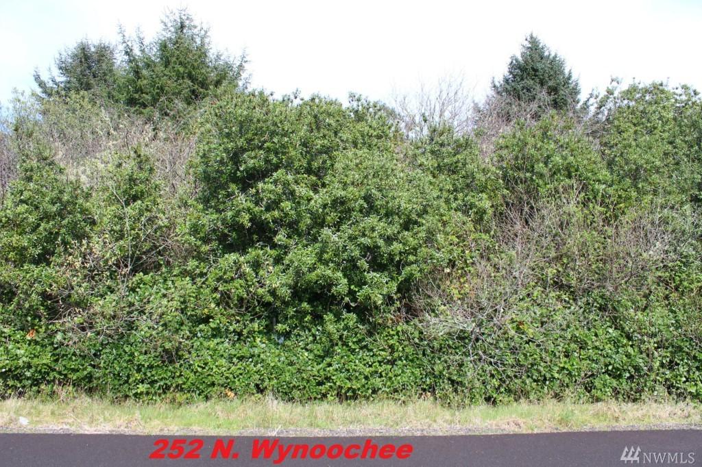 252 Wynoochee Dr - Photo 1