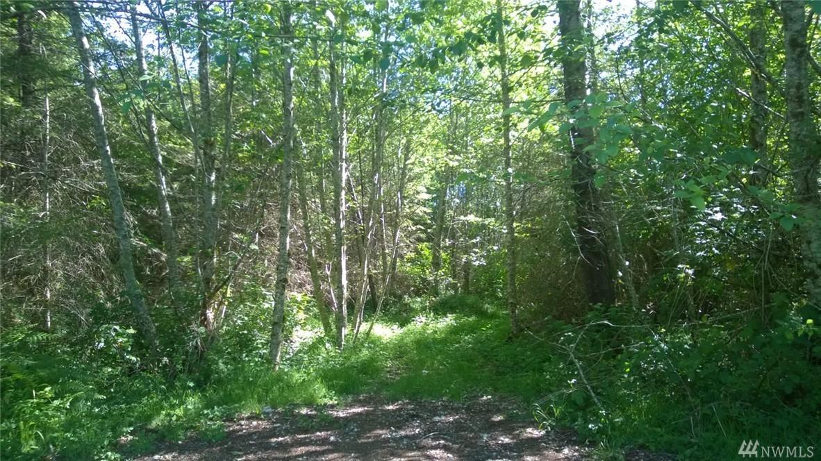 3 Hwy 503 - Photo 1