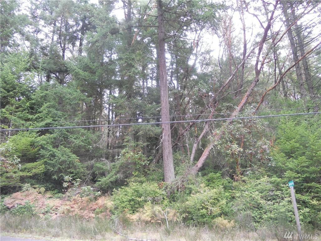 10421 Riviera Dr - Photo 1