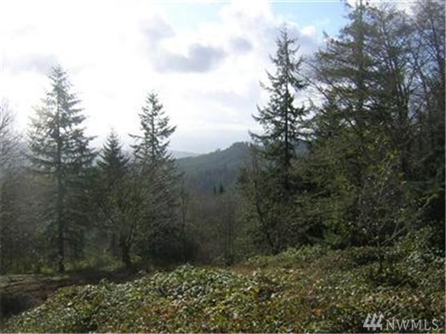 187 Badger Rd - Photo 1
