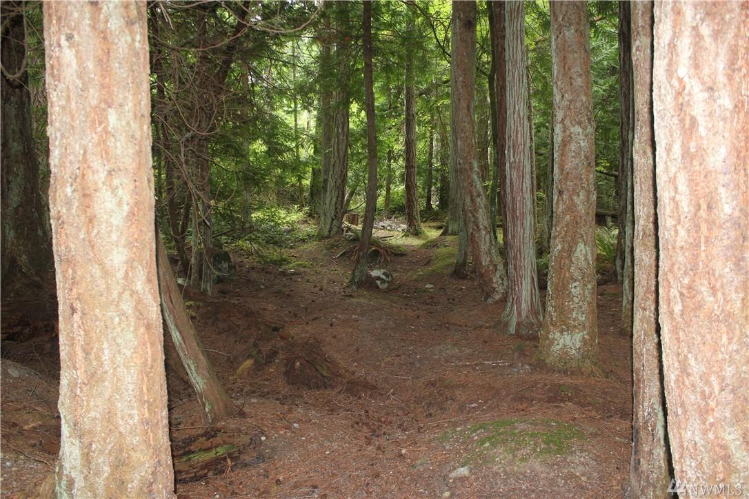 0-Lot 14 Island View Place - Photo 1