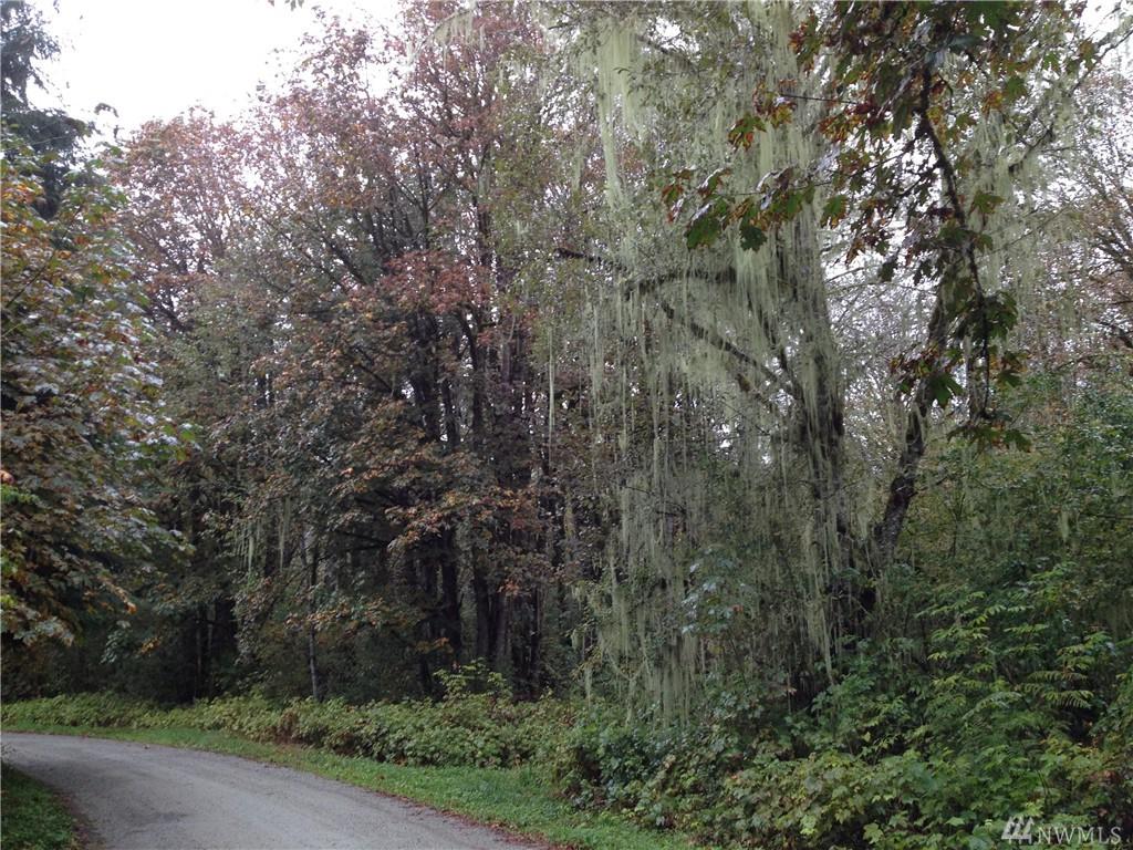 0 Emerald Lane - Photo 1