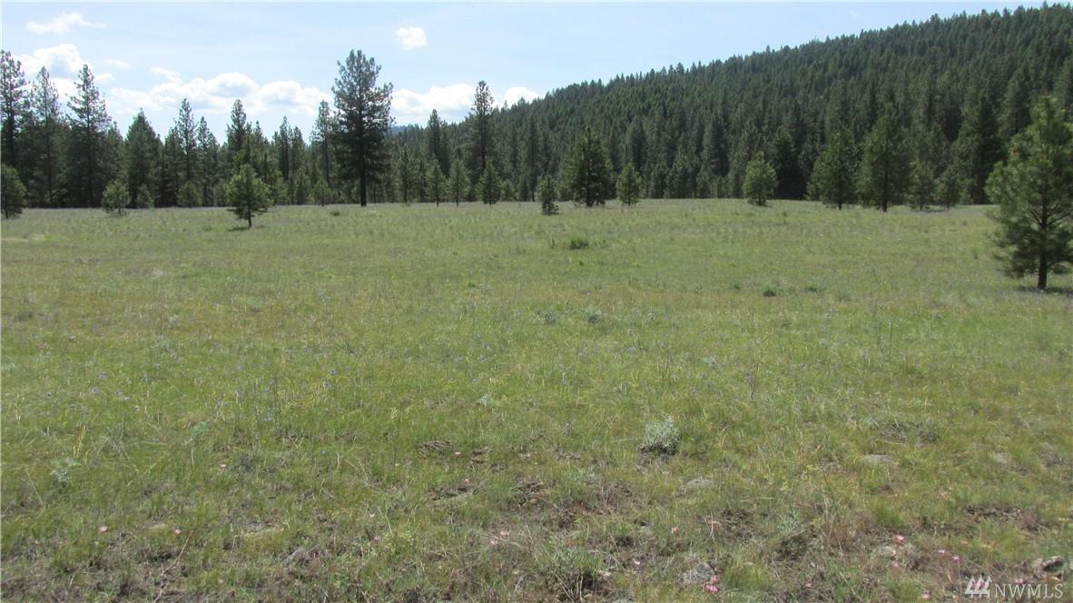 80 Neil Canyon Rd - Photo 1