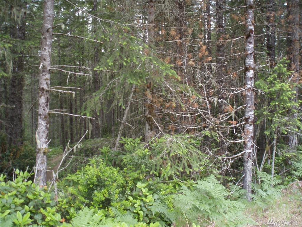 0-N1/2 80 Tee Lake Rd - Photo 1