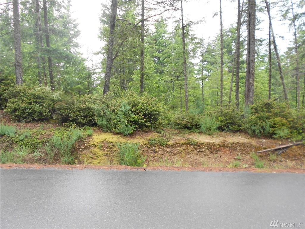 0-Lot 1 Hunter Rd - Photo 1