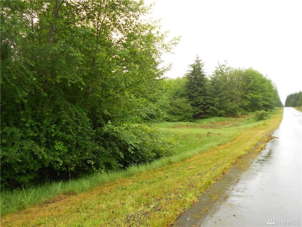 5200 Yellow Bloom Ct - Photo 1