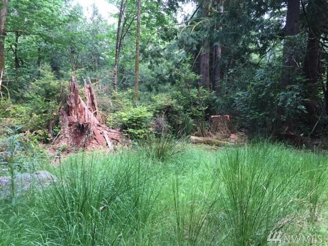 329 Pointes Dr - Photo 1