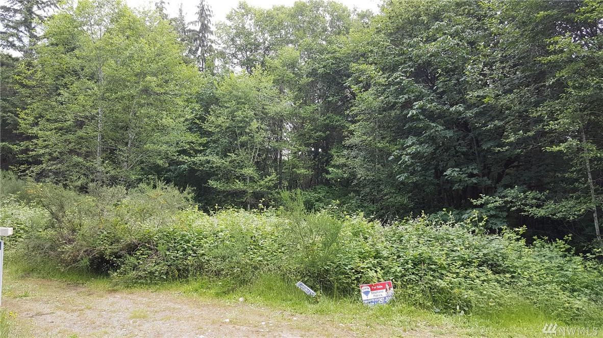 0 128th Ave - Photo 1