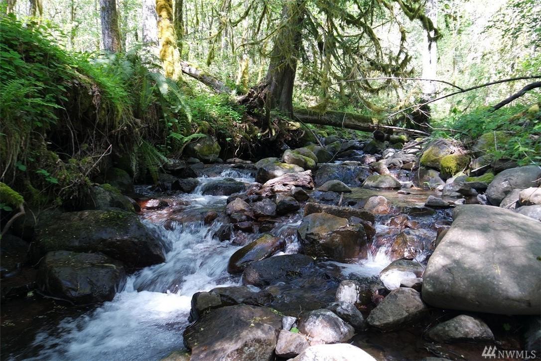 11144 Lewis River Rd - Photo 1