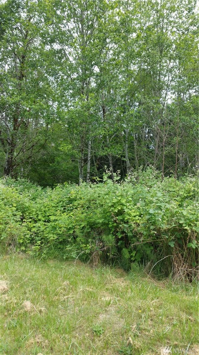 2303 Westwind Dr - Photo 1