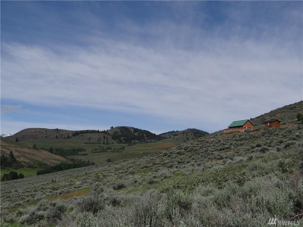 51 Pete Creek Rd - Photo 1