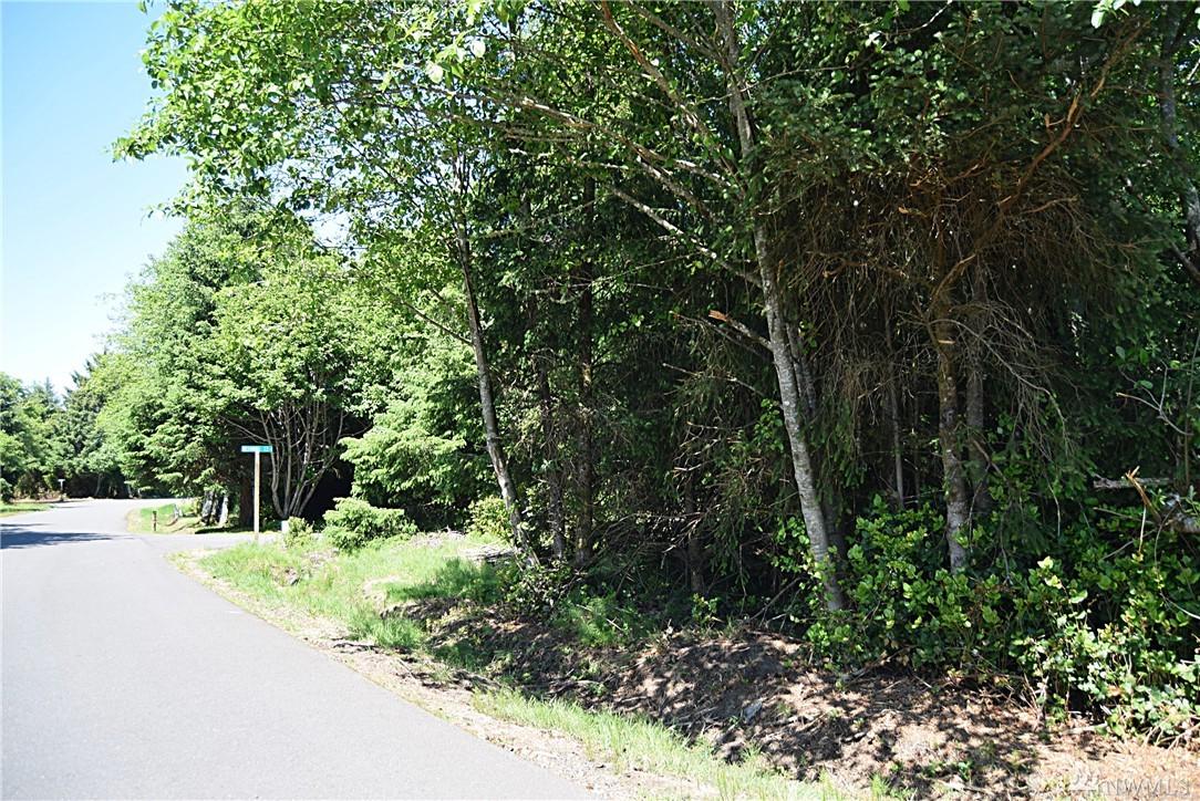 339 Redwood Ct - Photo 1