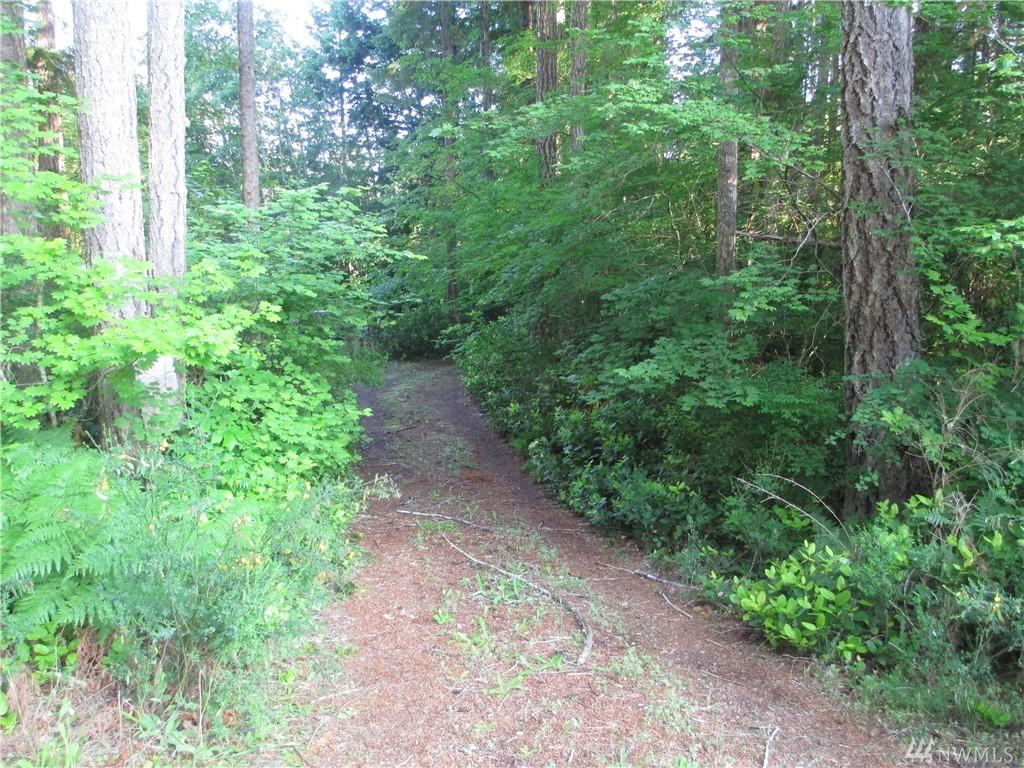 50 Eagle Place - Photo 1