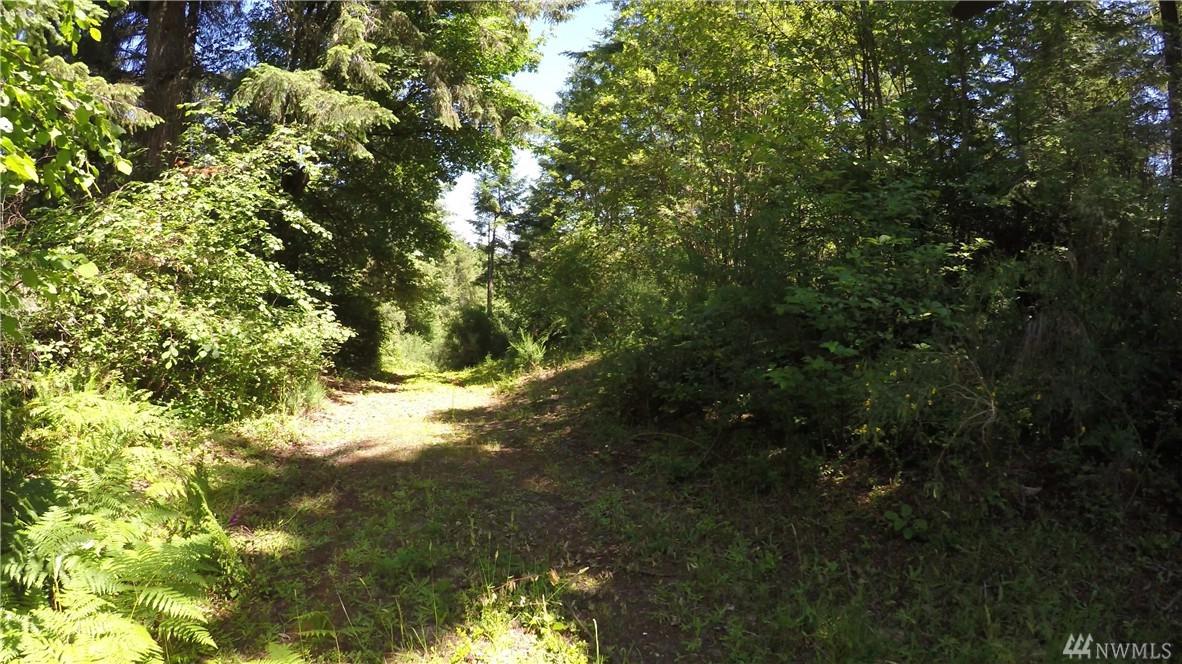 0 Willow Rd - Photo 1