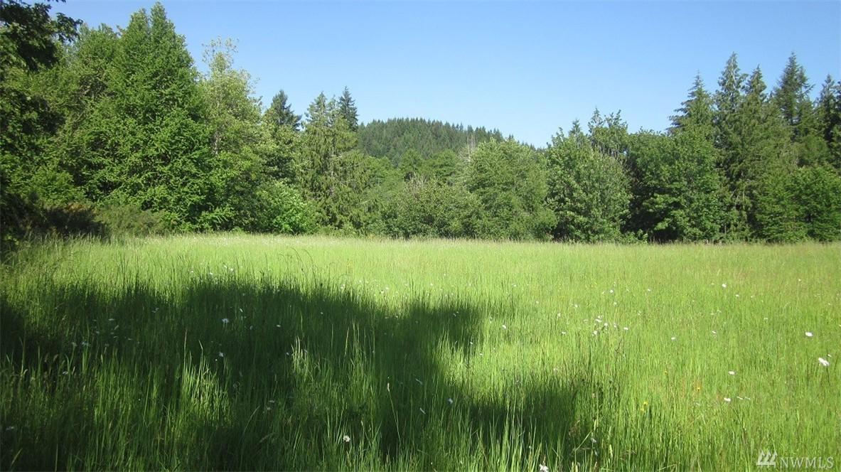 0-Lot 1 Chehalis Ave - Photo 1