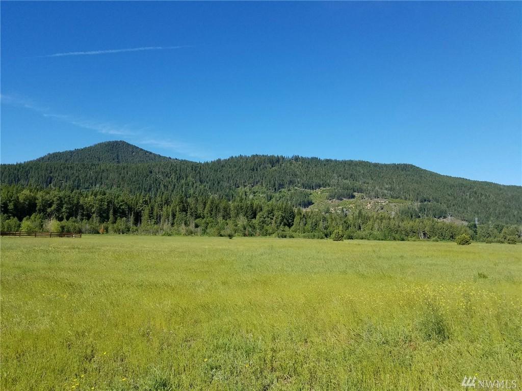 0 Old Cedars Rd - Photo 1