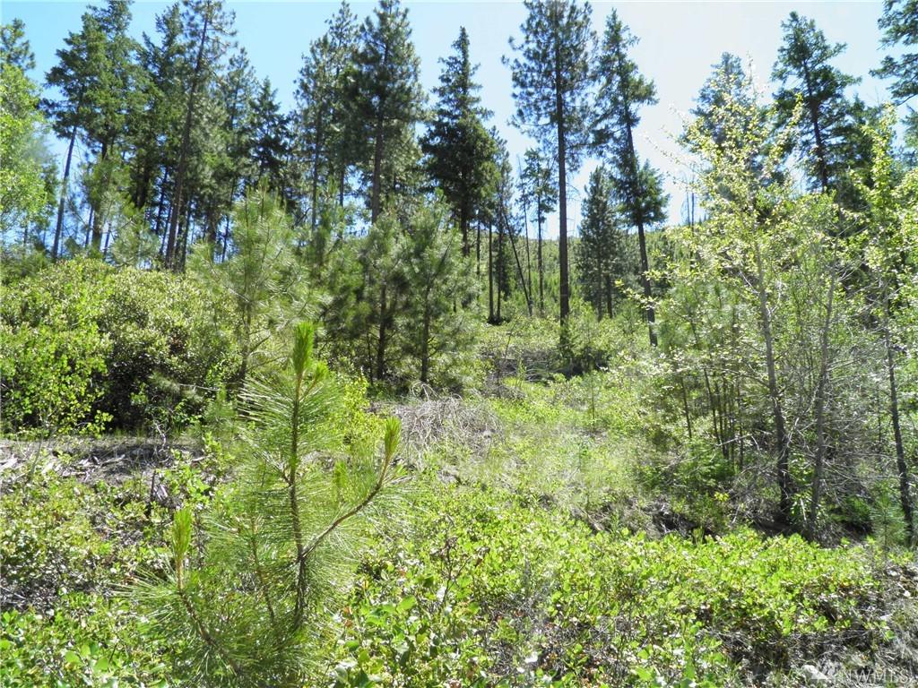 0 Tyee View Entiat River Rd - Photo 1