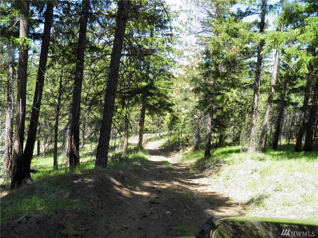 0 Potato Creek Heights Fsr 5330 Rd - Photo 1