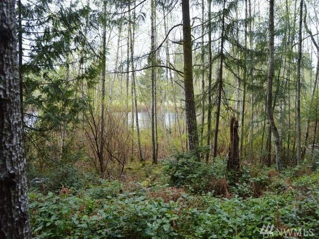 13731 Coho Run - Photo 1