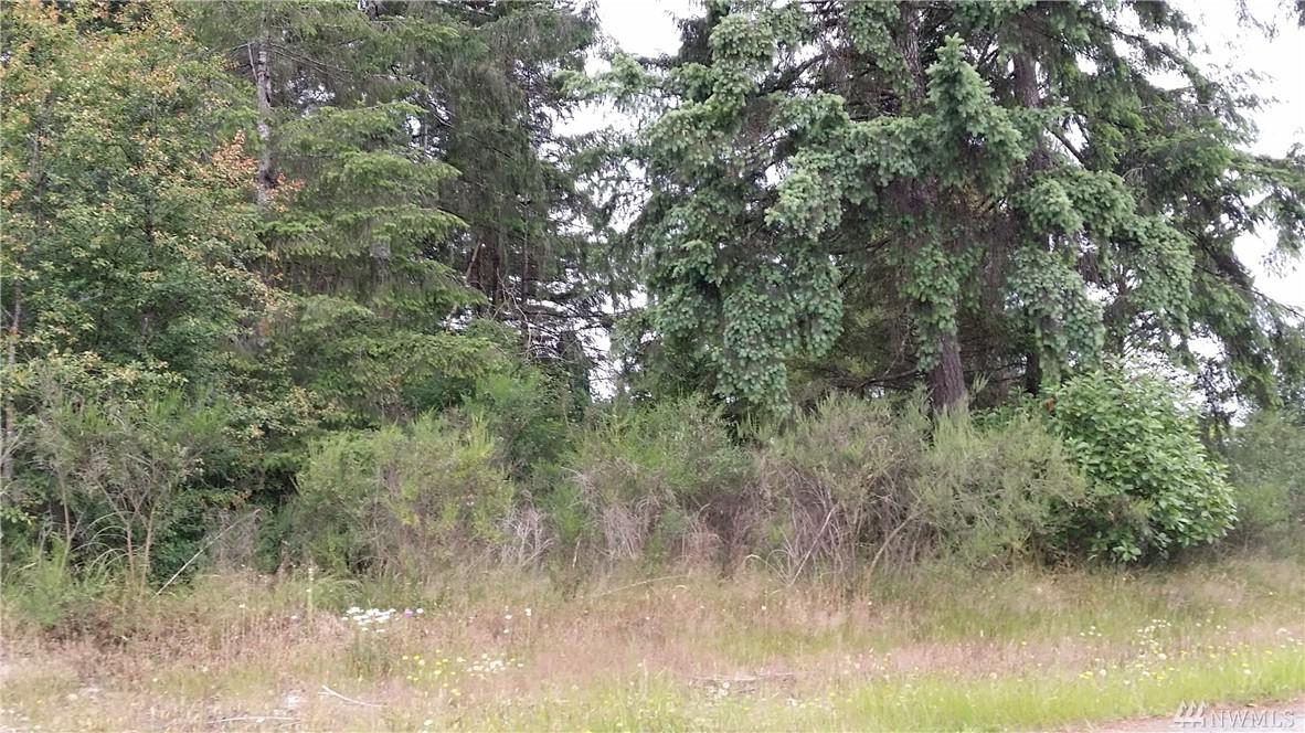 0-XXX Hiawatha Blvd - Photo 1