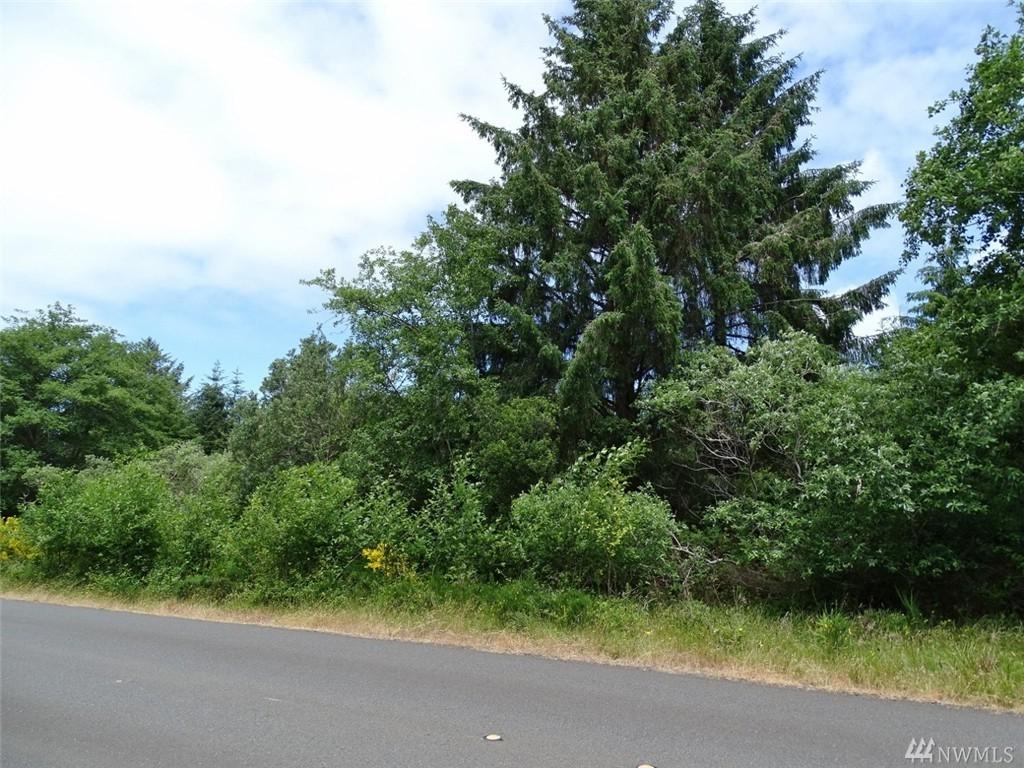 924 Mt Olympus Ave - Photo 1