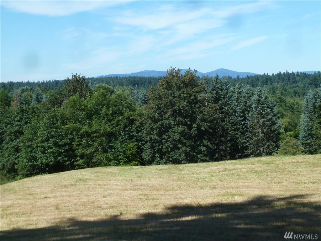 5515 Hawks Prairie Rd - Photo 1