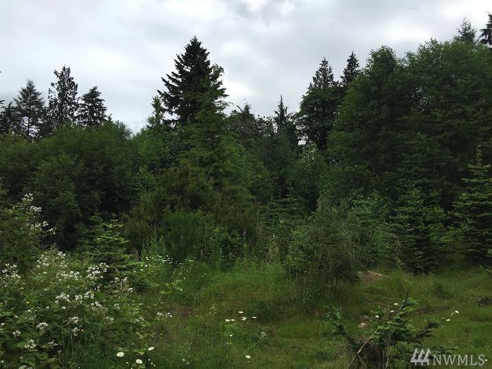 12319 58th Drive Se - Photo 1