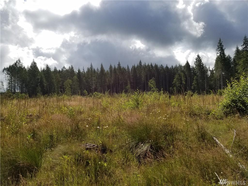 0-xxx Bucktail View - Photo 1