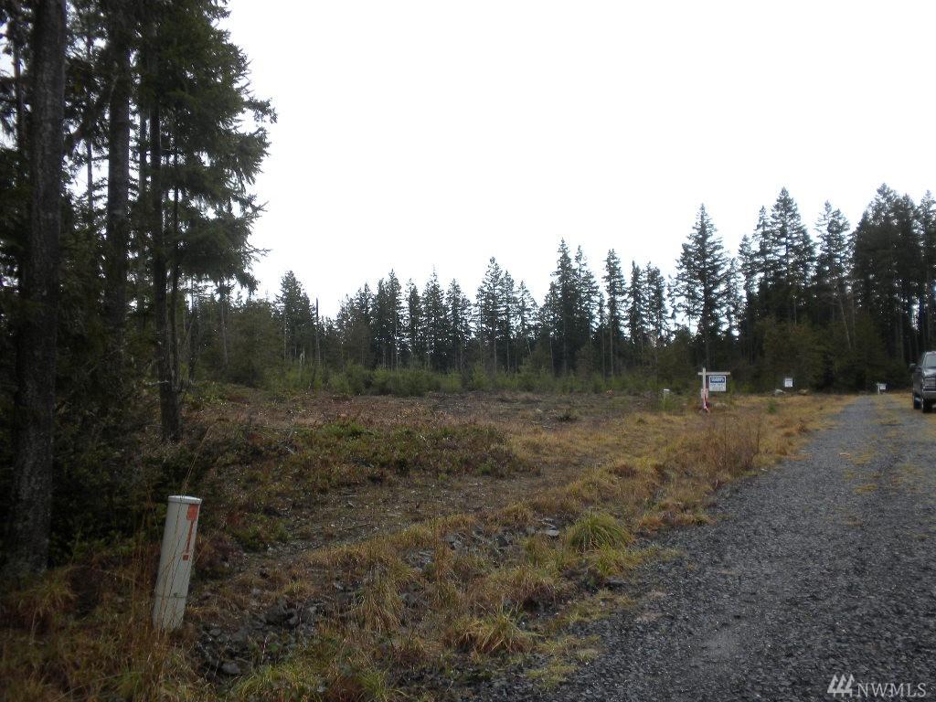 2-Lot Big Valley Rd - Photo 1